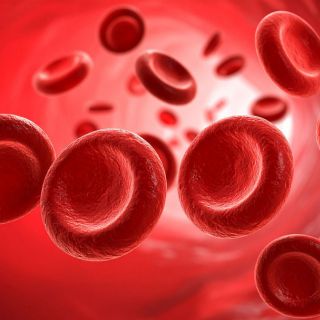 Întărește pereții vaselor de sânge